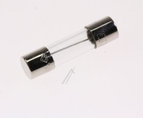 Glass T. Fuse 5x20mm Time Lag - C00311937 481925228125 Fuse T10a [Whirlpool Indesit]