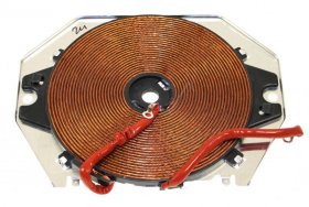 Brandt Coil - 70x0909 Inductor-d:180